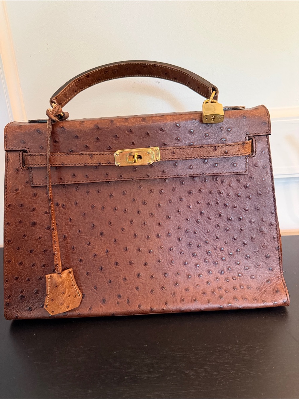 Classic Brown Ostrich-Texture Top Handle Bag